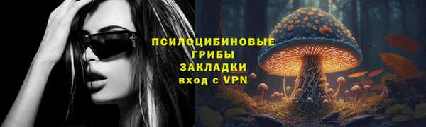 ECSTASY Армянск
